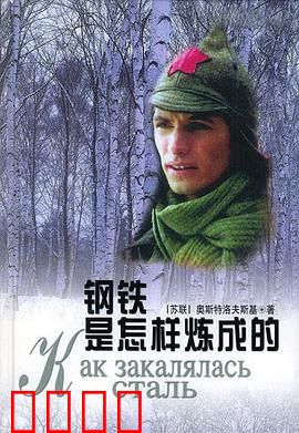 钢铁是怎样炼成的：烈火中的成长
