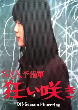 淡季花开：逆境中绽放