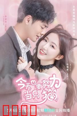 今天也要努力当只猫：逆袭人生