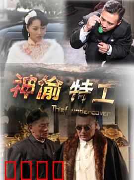 神偷特工：终极对决