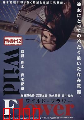 青春H2之狂野之花：叛逆点燃青春火焰