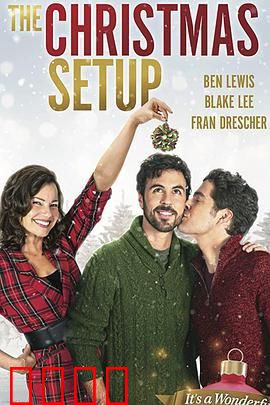 圣诞速配：真爱奇迹