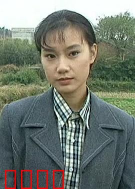 金海情：深情如海