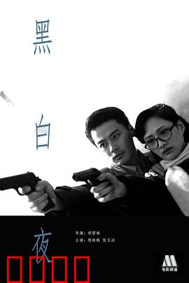 黑白夜：最后的记忆