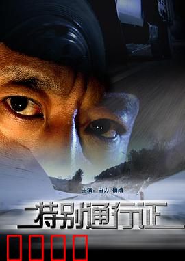 特别通行证：暗夜潜行