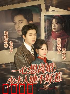 一心想离婚，少夫人她不好惹：强势逆袭