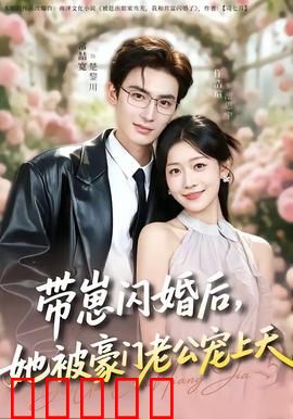 带崽闪婚后，她被豪门老公宠上天：逆袭人生